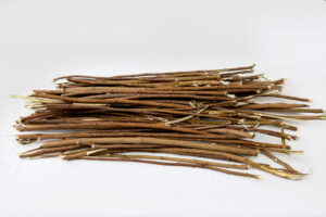 Cure-dents d'écorce de Neem